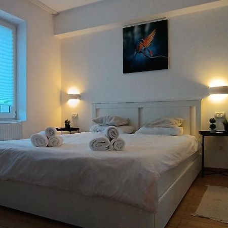Cozy Apartment City Center 布加勒斯特 外观 照片