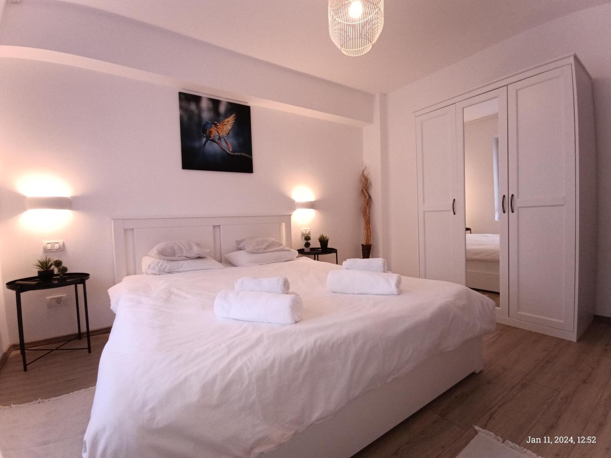 Cozy Apartment City Center 布加勒斯特 外观 照片